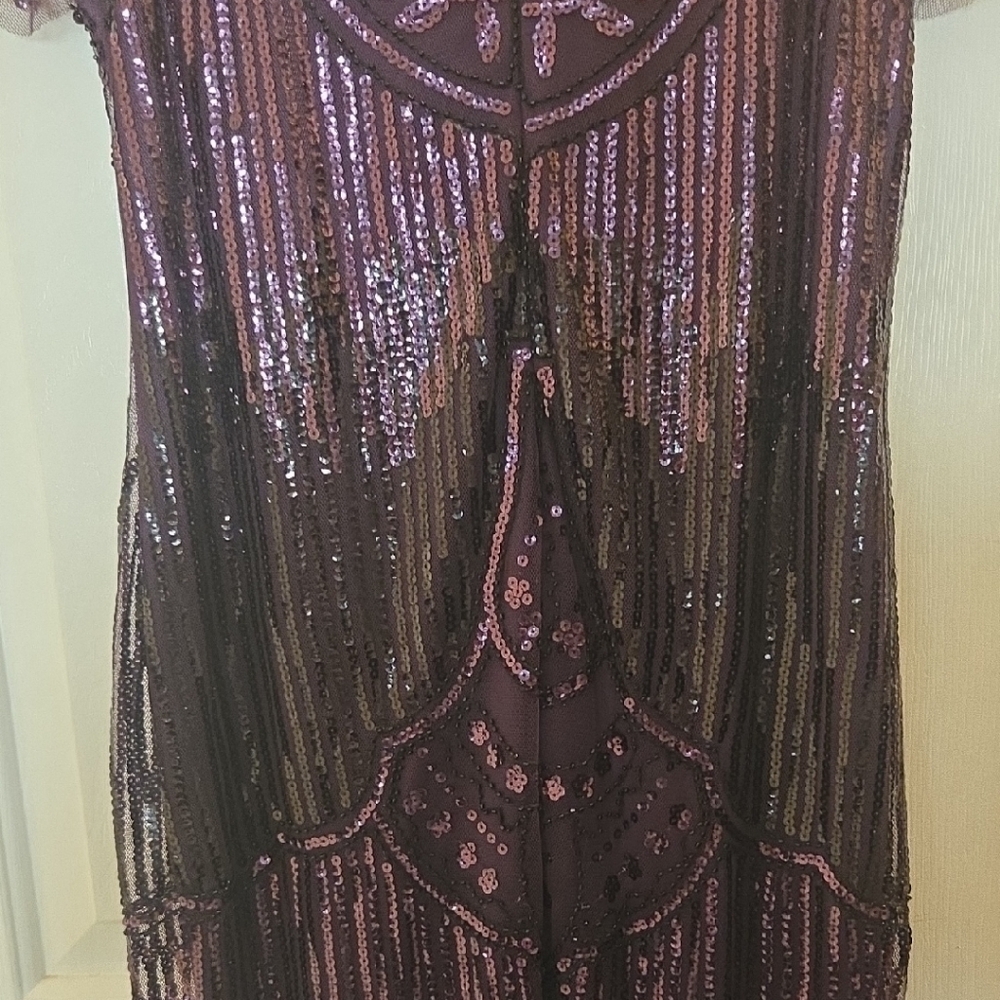 Purple Sequin Fringe Dress - Picture 4 of 5